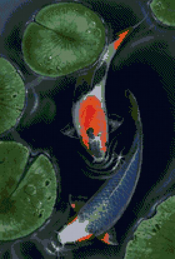 карпы - предпросмотр