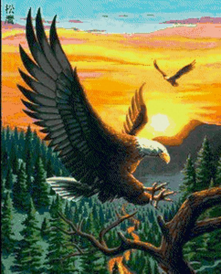 встречая восход - мир животных - предпросмотр