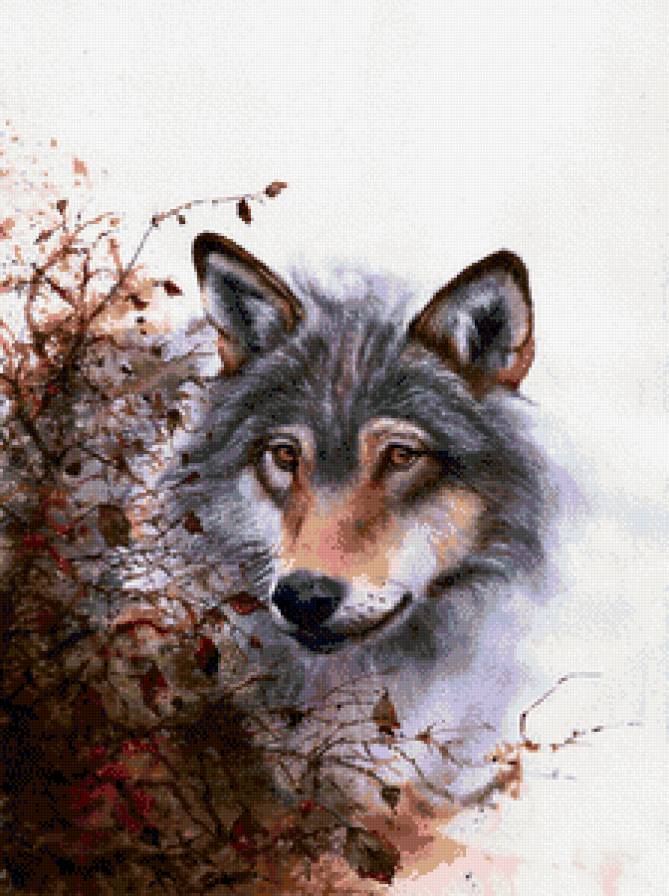 №684111 - животные - предпросмотр