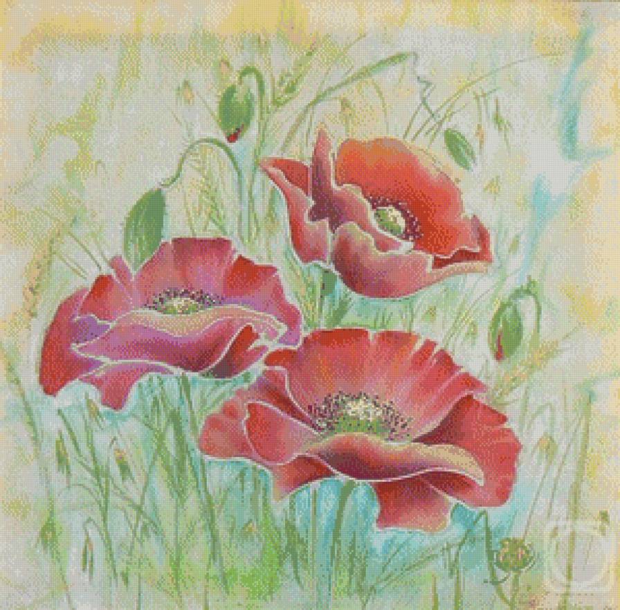 2486 - предпросмотр