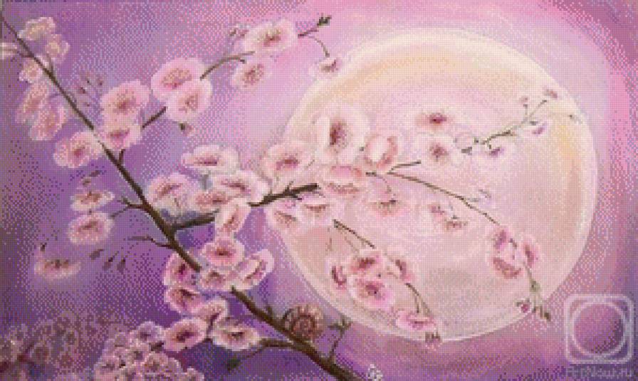 2489 - предпросмотр