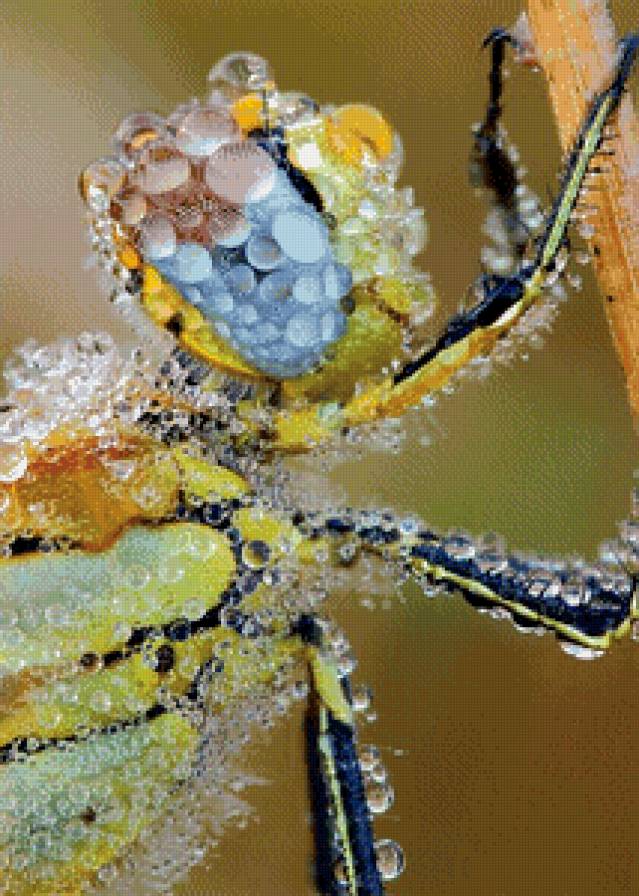 124567 - предпросмотр