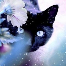 Схема вышивки «кот»