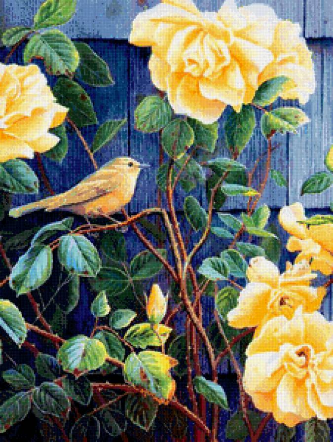 цветы и птицы - птицы, цветы, розы, пано, природа - предпросмотр