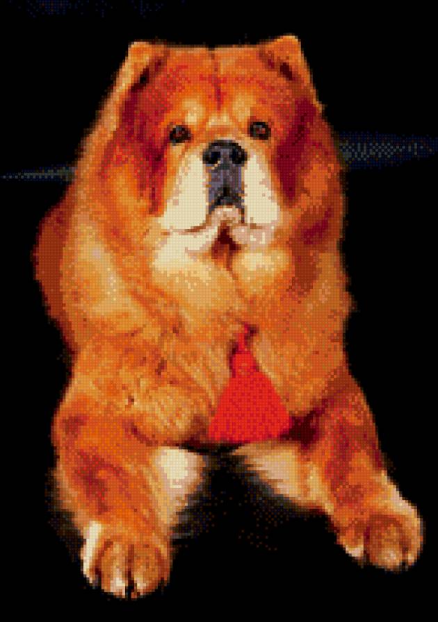 Новый РЭД - предпросмотр