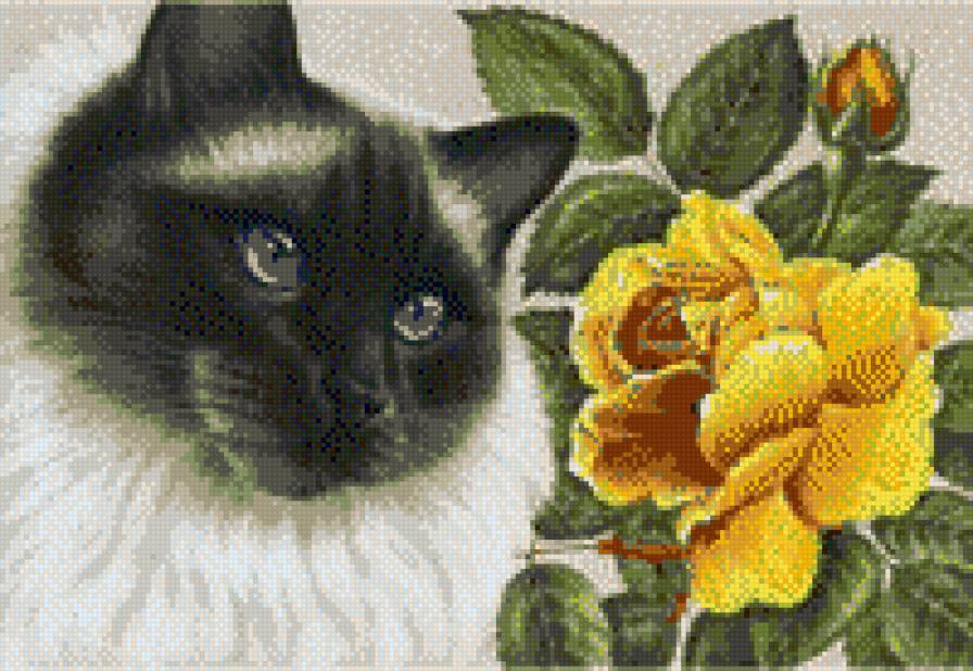 кот - животные - предпросмотр