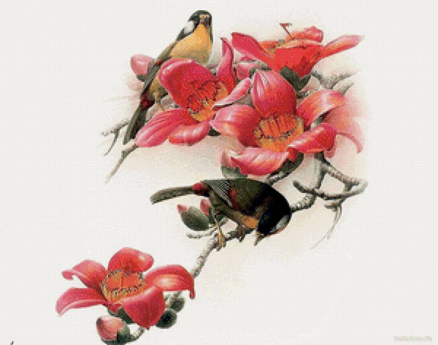 птицы на магнолии - ветка, магнолия, птицы, цветок, весна, пара - предпросмотр