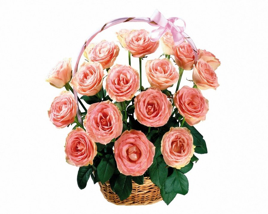 корзина роз - свадьба, цветы, роза, корзина, букет - оригинал