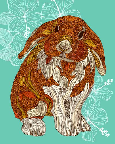 заяц - животные - оригинал