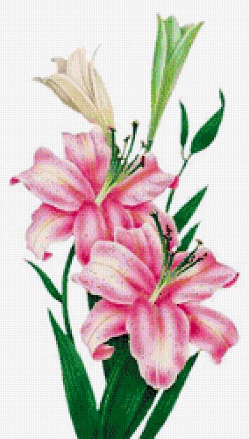 №684925 - предпросмотр