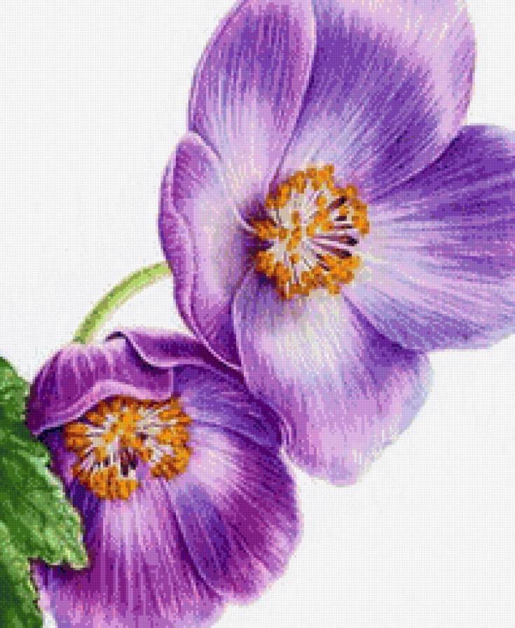 №684941 - предпросмотр