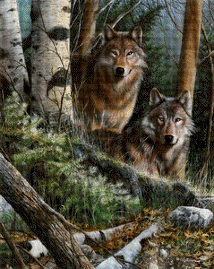 волки - волки, животные - предпросмотр