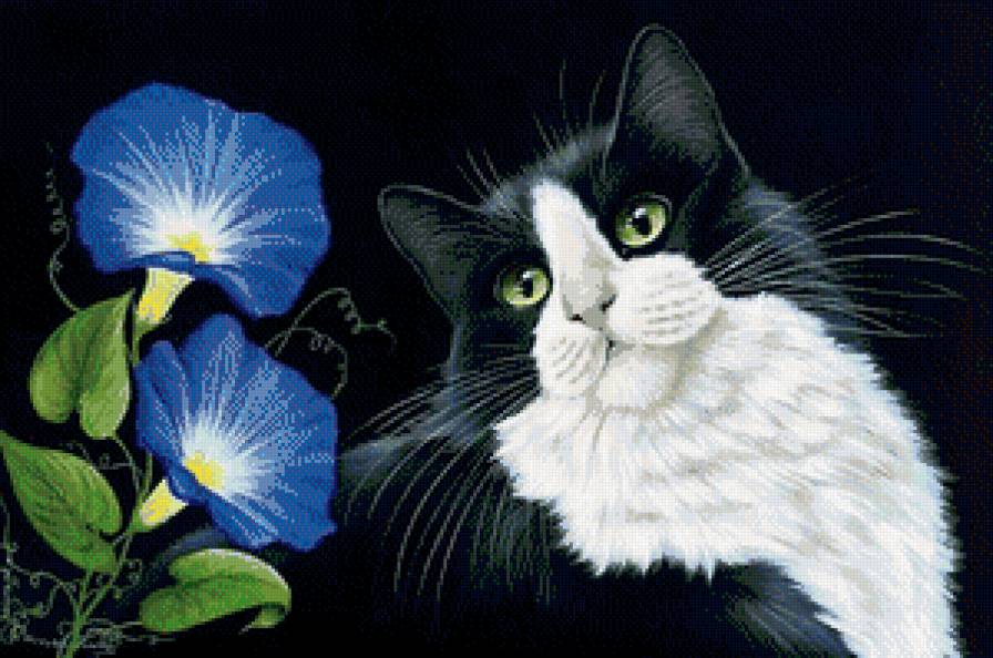 №685041 - кот - предпросмотр