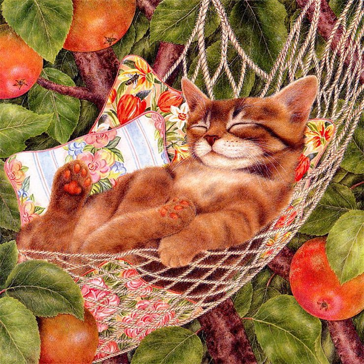 кот - яблоки, кот, сон - оригинал