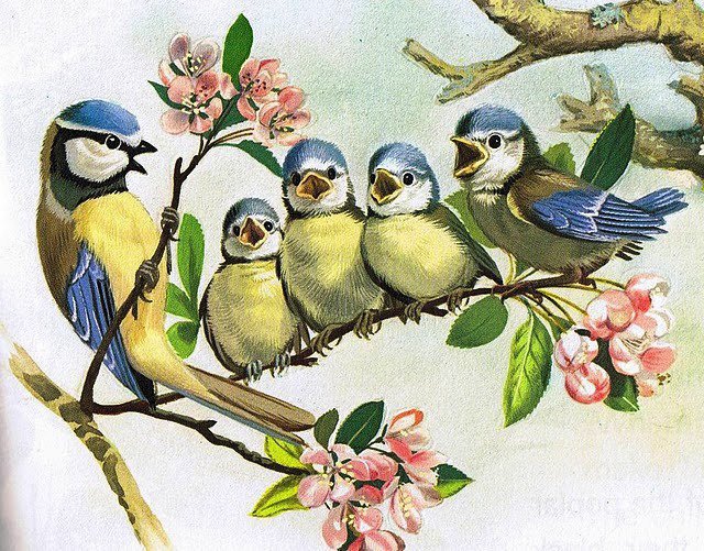 птички - оригинал