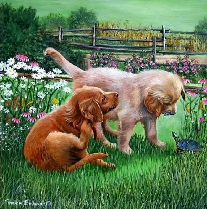 2496 - оригинал