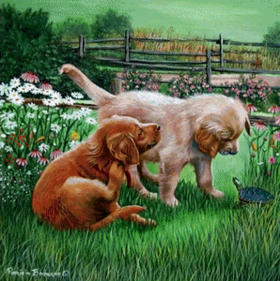 2496 - предпросмотр