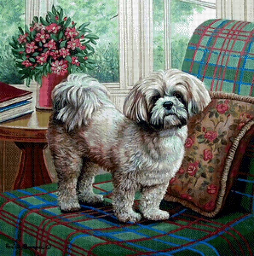 2499 - предпросмотр