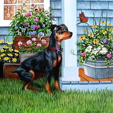 Схема вышивки «2501»