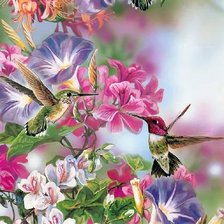 Схема вышивки «№685586»