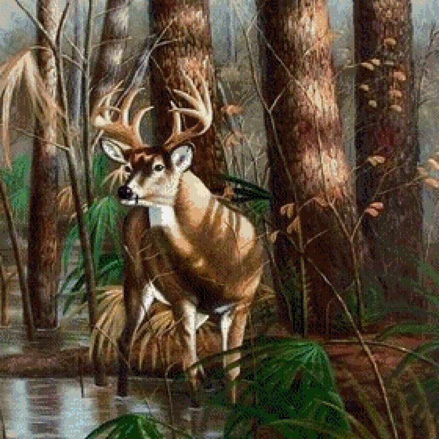 №685599 - предпросмотр