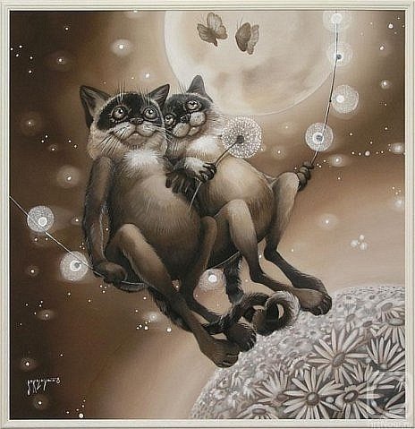 Котики - коты, кот, ромашки, кошка - оригинал