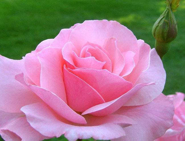 111 - 111 - оригинал