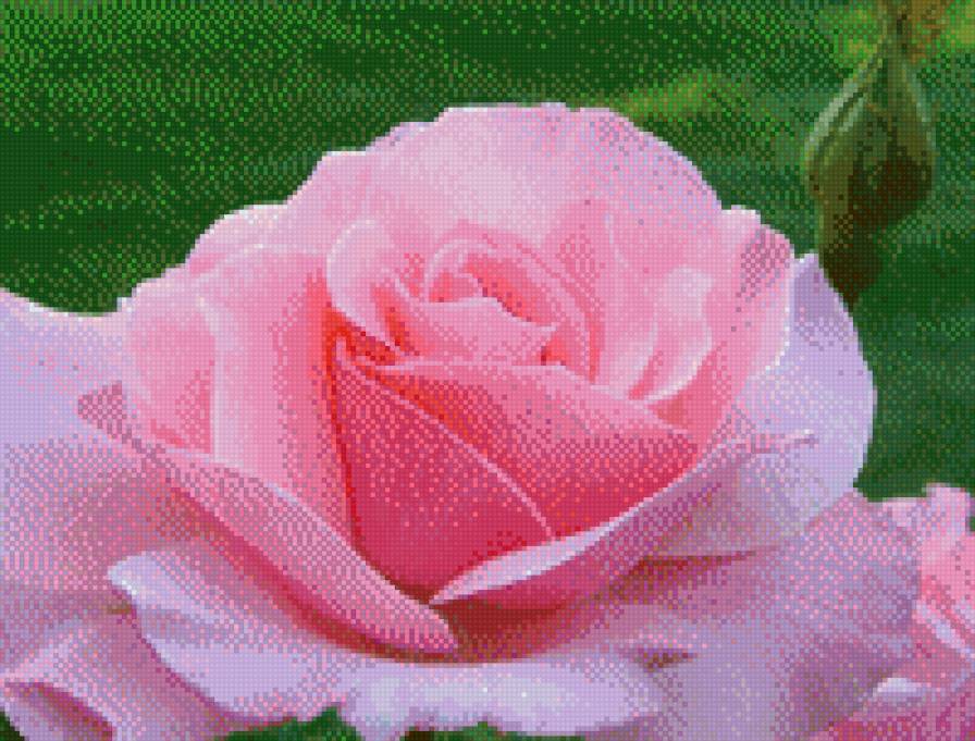 111 - 111 - предпросмотр