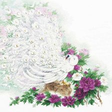 Схема вышивки «павлин2»