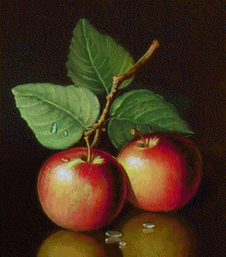 №685956 - предпросмотр