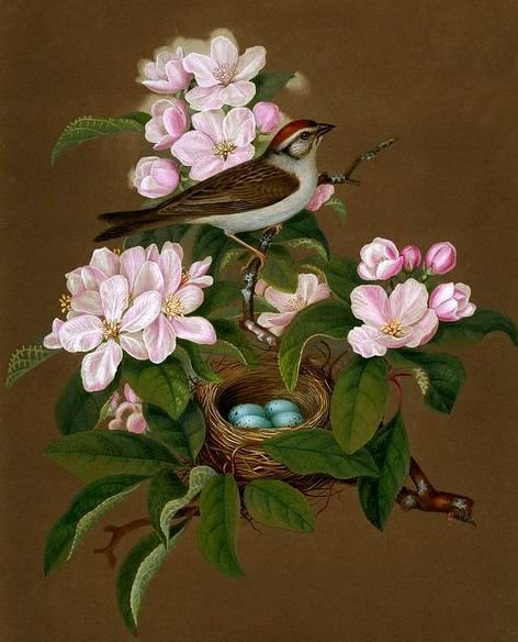 №685965 - оригинал