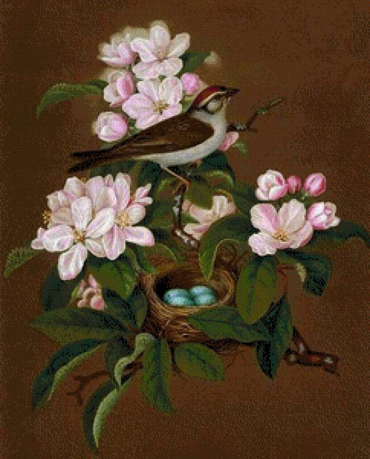 №685965 - предпросмотр