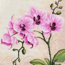 Схема вышивки «орхидеи»