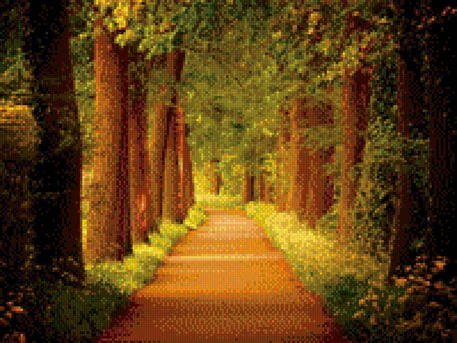 Дорога в парке - природа - предпросмотр