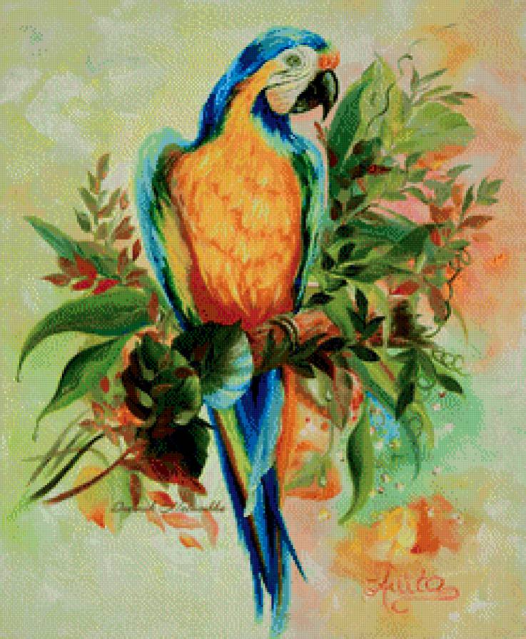 2509 - предпросмотр