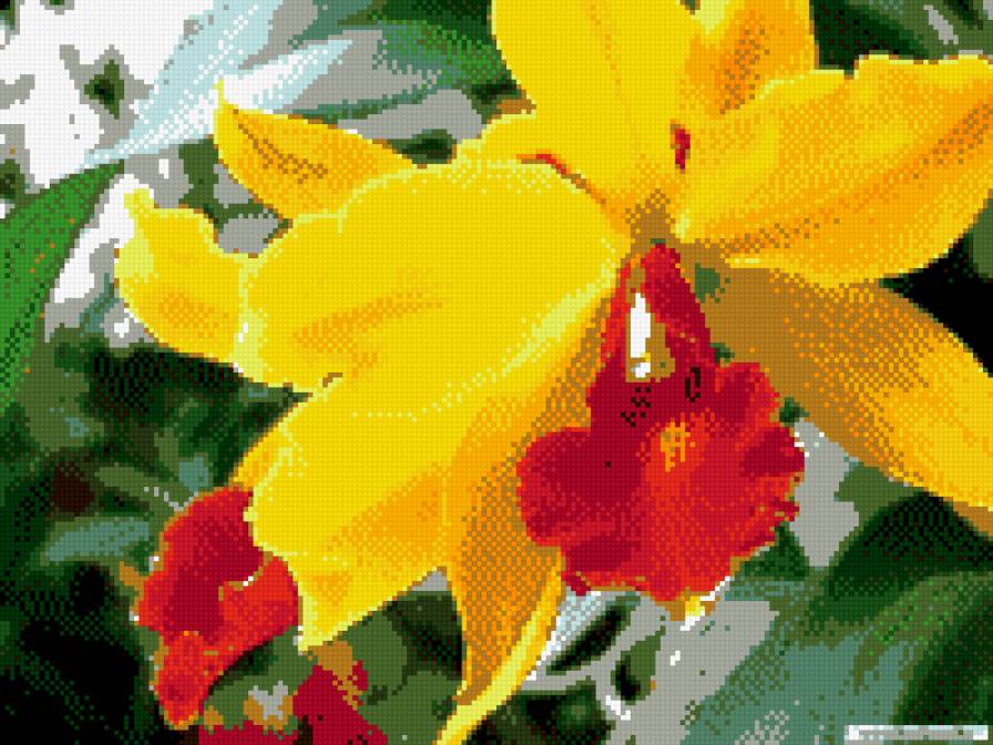 Ораньжевое солнце - предпросмотр