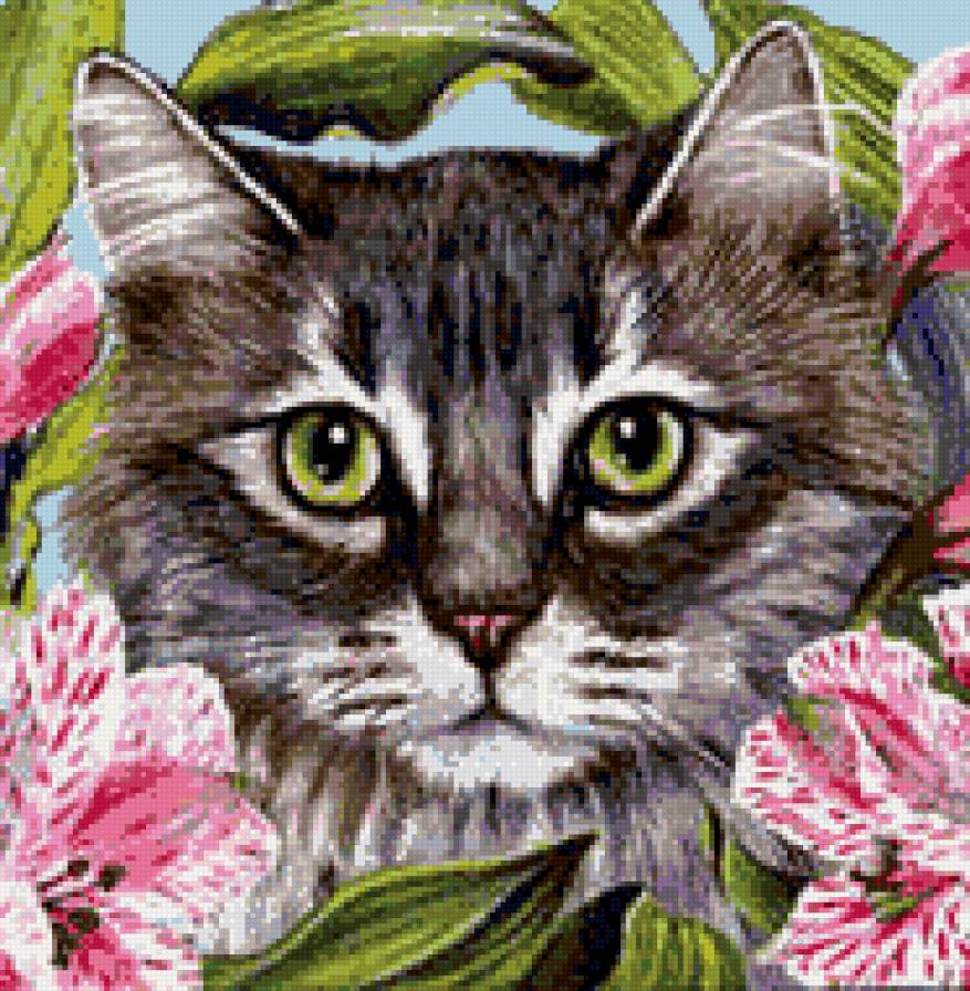 кот в цветах - предпросмотр