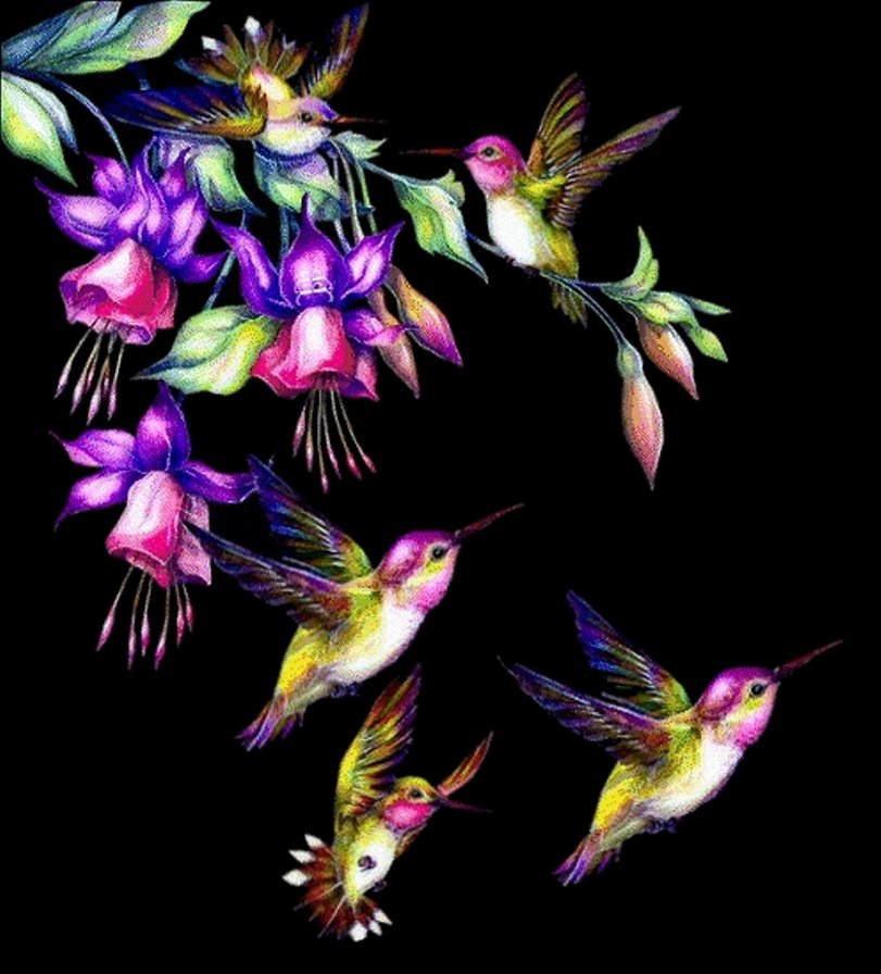 №686714 - цветы.птицы - оригинал