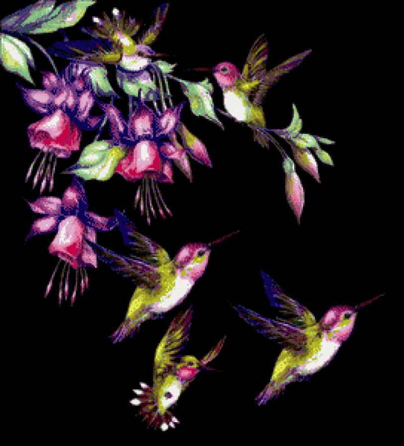 №686714 - цветы.птицы - предпросмотр