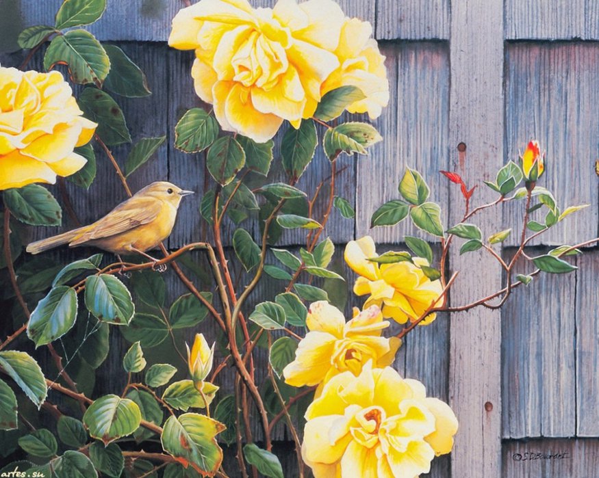 №686736 - цветы.птицы - оригинал