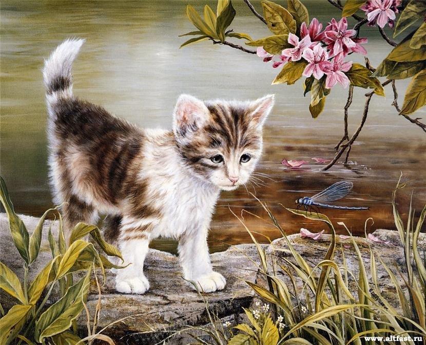 №686799 - кот - оригинал