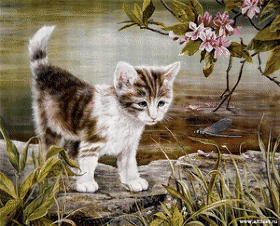 №686799 - кот - предпросмотр