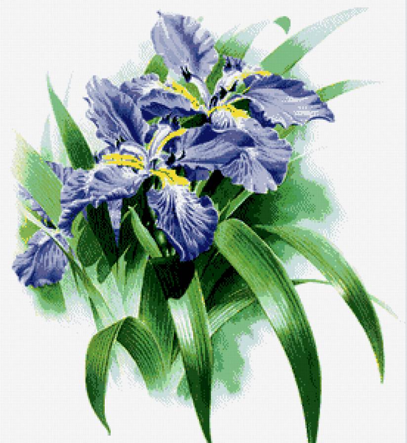 №686850 - цветы - предпросмотр