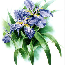 Схема вышивки «№686850»