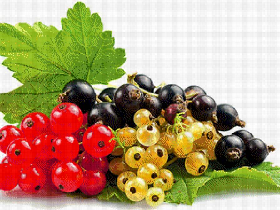 №686885 - предпросмотр