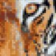 Предпросмотр схемы вышивки «Тигр» (№686928)