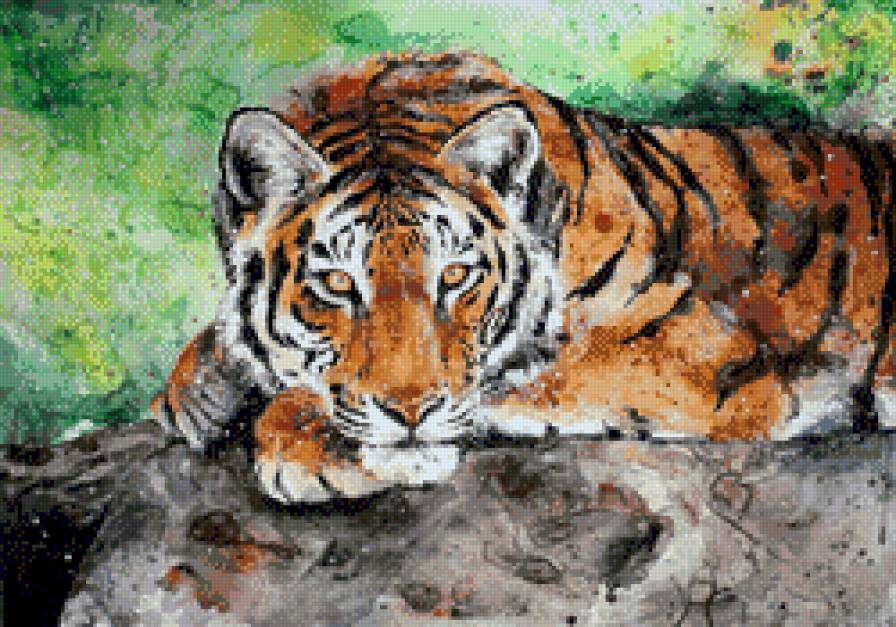Тигр - предпросмотр