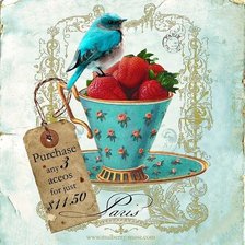 Схема вышивки «птичка на ягодах»