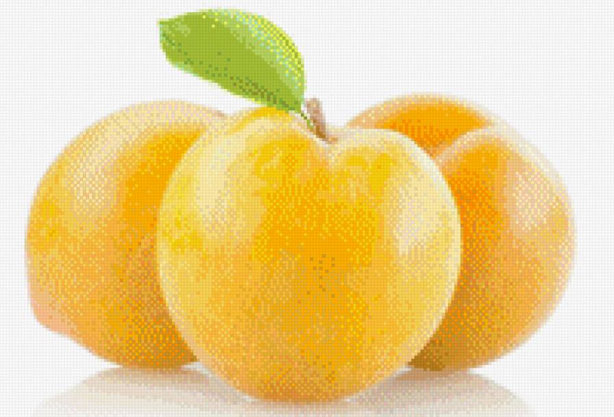 Слива - предпросмотр