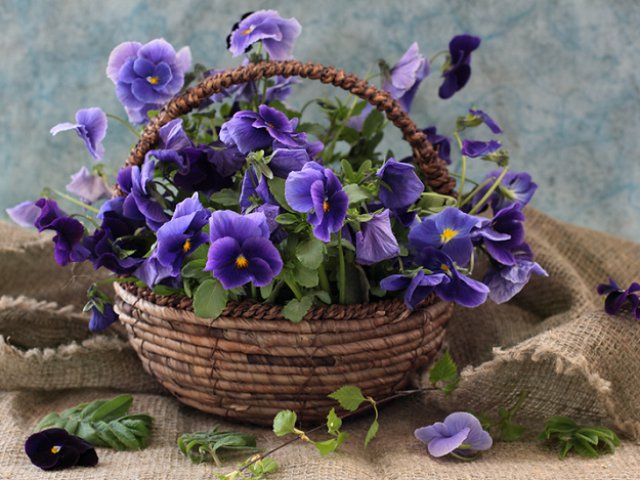 №687646 - оригинал